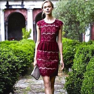 Anthropologie Maeve Elsa Red Lace Peplum Dress